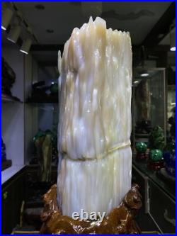 37.7LB Natural Petrified Wood Fossil-Jade Specimen Quartz Crystal Mineral 37.7LB Natural Petrified Wood Fossil-Jade Specimen Quartz Crystal Mineral