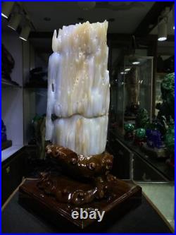 37.7LB Natural Petrified Wood Fossil-Jade Specimen Quartz Crystal Mineral 37.7LB Natural Petrified Wood Fossil-Jade Specimen Quartz Crystal Mineral