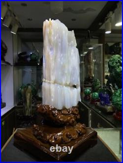 37.7LB Natural Petrified Wood Fossil-Jade Specimen Quartz Crystal Mineral 37.7LB Natural Petrified Wood Fossil-Jade Specimen Quartz Crystal Mineral
