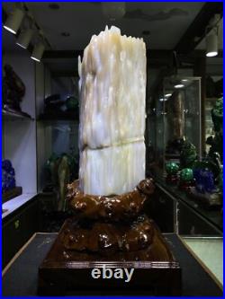 37.7LB Natural Petrified Wood Fossil-Jade Specimen Quartz Crystal Mineral 37.7LB Natural Petrified Wood Fossil-Jade Specimen Quartz Crystal Mineral