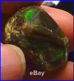 37.7 carats Virgin Valley Black Precious Opal Petrified Wood Nevada 26.5mm