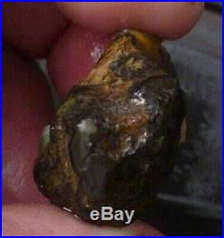 37.7 carats Virgin Valley Black Precious Opal Petrified Wood Nevada 26.5mm