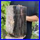 37lb_Rare_Natural_petrified_wood_rough_Wood_fossil_mineral_specimen_healing_01_dgk