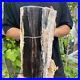 37lb_Rare_Natural_petrified_wood_rough_Wood_fossil_mineral_specimen_healing_01_tf