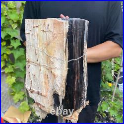 37lb Rare Natural petrified wood rough Wood fossil mineral specimen healing 37lb Rare Natural petrified wood rough Wood fossil mineral specimen healing