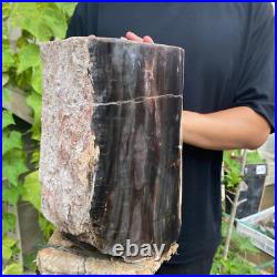 37lb Rare Natural petrified wood rough Wood fossil mineral specimen healing 37lb Rare Natural petrified wood rough Wood fossil mineral specimen healing