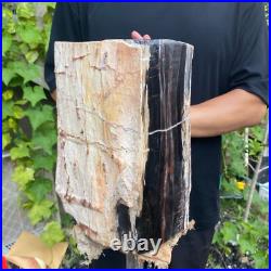 37lb Rare Natural petrified wood rough Wood fossil mineral specimen healing 37lb Rare Natural petrified wood rough Wood fossil mineral specimen healing