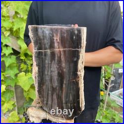 37lb Rare Natural petrified wood rough Wood fossil mineral specimen healing 37lb Rare Natural petrified wood rough Wood fossil mineral specimen healing