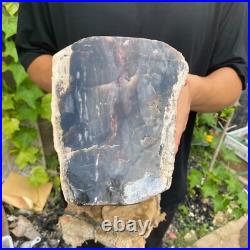 37lb Rare Natural petrified wood rough Wood fossil mineral specimen healing 37lb Rare Natural petrified wood rough Wood fossil mineral specimen healing