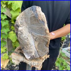37lb Rare Natural petrified wood rough Wood fossil mineral specimen healing 37lb Rare Natural petrified wood rough Wood fossil mineral specimen healing