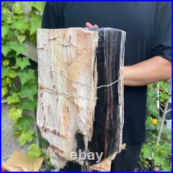 37lb Rare Natural petrified wood rough Wood fossil mineral specimen healing 37lb Rare Natural petrified wood rough Wood fossil mineral specimen healing