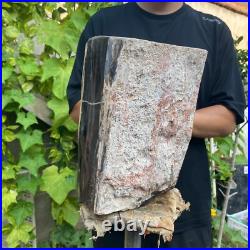 37lb Rare Natural petrified wood rough Wood fossil mineral specimen healing 37lb Rare Natural petrified wood rough Wood fossil mineral specimen healing