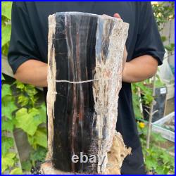 37lb Rare Natural petrified wood rough Wood fossil mineral specimen healing 37lb Rare Natural petrified wood rough Wood fossil mineral specimen healing