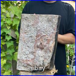 37lb Rare Natural petrified wood rough Wood fossil mineral specimen healing 37lb Rare Natural petrified wood rough Wood fossil mineral specimen healing
