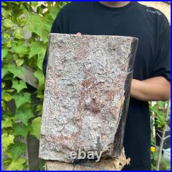 37lb Rare Natural petrified wood rough Wood fossil mineral specimen healing 37lb Rare Natural petrified wood rough Wood fossil mineral specimen healing