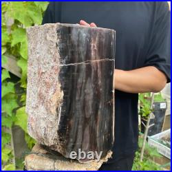 37lb Rare Natural petrified wood rough Wood fossil mineral specimen healing 37lb Rare Natural petrified wood rough Wood fossil mineral specimen healing