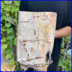 37lb Rare Natural petrified wood rough Wood fossil mineral specimen healing 37lb Rare Natural petrified wood rough Wood fossil mineral specimen healing