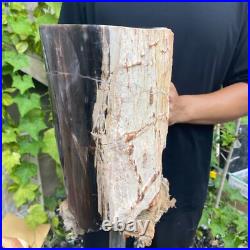 37lb Rare Natural petrified wood rough Wood fossil mineral specimen healing 37lb Rare Natural petrified wood rough Wood fossil mineral specimen healing