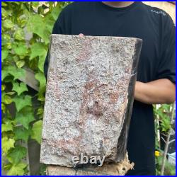 37lb Rare Natural petrified wood rough Wood fossil mineral specimen healing 37lb Rare Natural petrified wood rough Wood fossil mineral specimen healing