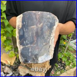 37lb Rare Natural petrified wood rough Wood fossil mineral specimen healing 37lb Rare Natural petrified wood rough Wood fossil mineral specimen healing