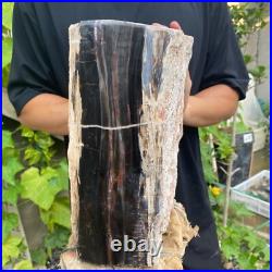 37lb Rare Natural petrified wood rough Wood fossil mineral specimen healing 37lb Rare Natural petrified wood rough Wood fossil mineral specimen healing