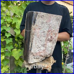 37lb Rare Natural petrified wood rough Wood fossil mineral specimen healing 37lb Rare Natural petrified wood rough Wood fossil mineral specimen healing