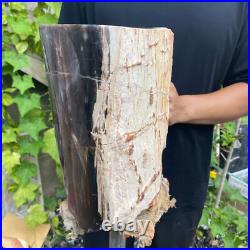 37lb Rare Natural petrified wood rough Wood fossil mineral specimen healing 37lb Rare Natural petrified wood rough Wood fossil mineral specimen healing