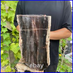 37lb Rare Natural petrified wood rough Wood fossil mineral specimen healing 37lb Rare Natural petrified wood rough Wood fossil mineral specimen healing