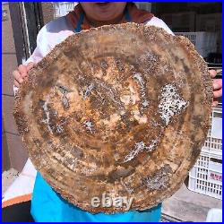 38.72LB Natural Petrified Wood Fossil Crystal Polished Slice Madagascar 1979 38.72LB Natural Petrified Wood Fossil Crystal Polished Slice Madagascar 1979