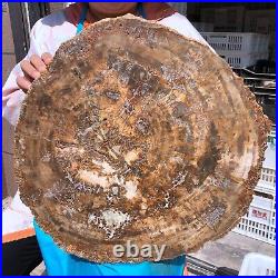 38.72LB Natural Petrified Wood Fossil Crystal Polished Slice Madagascar 1979 38.72LB Natural Petrified Wood Fossil Crystal Polished Slice Madagascar 1979