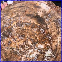 38.72LB Natural Petrified Wood Fossil Crystal Polished Slice Madagascar 1979 38.72LB Natural Petrified Wood Fossil Crystal Polished Slice Madagascar 1979