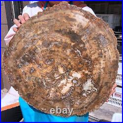 38.72LB Natural Petrified Wood Fossil Crystal Polished Slice Madagascar 1979 38.72LB Natural Petrified Wood Fossil Crystal Polished Slice Madagascar 1979