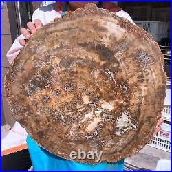 38.72LB Natural Petrified Wood Fossil Crystal Polished Slice Madagascar 1979 38.72LB Natural Petrified Wood Fossil Crystal Polished Slice Madagascar 1979
