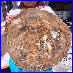 38.72LB Natural Petrified Wood Fossil Crystal Polished Slice Madagascar 1979 38.72LB Natural Petrified Wood Fossil Crystal Polished Slice Madagascar 1979