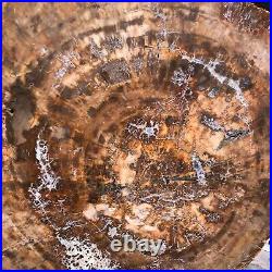 38.72LB Natural Petrified Wood Fossil Crystal Polished Slice Madagascar 1979 38.72LB Natural Petrified Wood Fossil Crystal Polished Slice Madagascar 1979