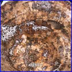 38.72LB Natural Petrified Wood Fossil Crystal Polished Slice Madagascar 1979 38.72LB Natural Petrified Wood Fossil Crystal Polished Slice Madagascar 1979