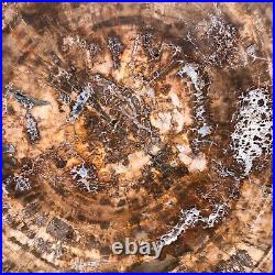 38.72LB Natural Petrified Wood Fossil Crystal Polished Slice Madagascar 1979 38.72LB Natural Petrified Wood Fossil Crystal Polished Slice Madagascar 1979