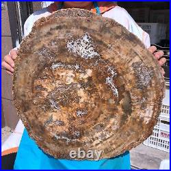 38.72LB Natural Petrified Wood Fossil Crystal Polished Slice Madagascar 1979 38.72LB Natural Petrified Wood Fossil Crystal Polished Slice Madagascar 1979