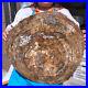 38_72LB_Natural_Petrified_Wood_Fossil_slab_Crystal_mineral_Slice_reiki_Healing_01_ef