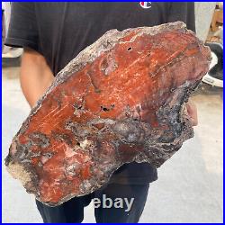 38.9lb Rare Natural petrified wood rough Wood fossil mineral specimen healing