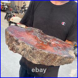 38.9lb Rare Natural petrified wood rough Wood fossil mineral specimen healing