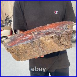 38.9lb Rare Natural petrified wood rough Wood fossil mineral specimen healing