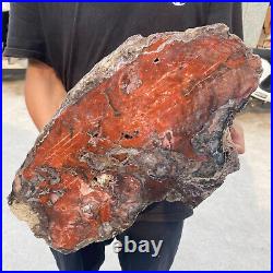 38.9lb Rare Natural petrified wood rough Wood fossil mineral specimen healing