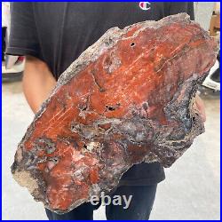 38.9lb Rare Natural petrified wood rough Wood fossil mineral specimen healing