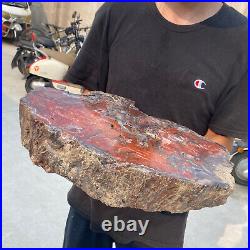 38.9lb Rare Natural petrified wood rough Wood fossil mineral specimen healing