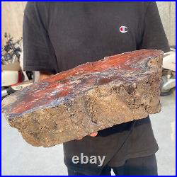 38.9lb Rare Natural petrified wood rough Wood fossil mineral specimen healing