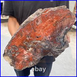 38.9lb Rare Natural petrified wood rough Wood fossil mineral specimen healing