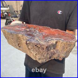 38.9lb Rare Natural petrified wood rough Wood fossil mineral specimen healing