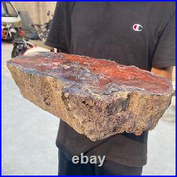 38.9lb Rare Natural petrified wood rough Wood fossil mineral specimen healing