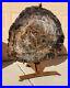 38_Fossil_Petrified_Wood_Round_With_Display_Stand_Arizona_Chinle_Formation_01_ov